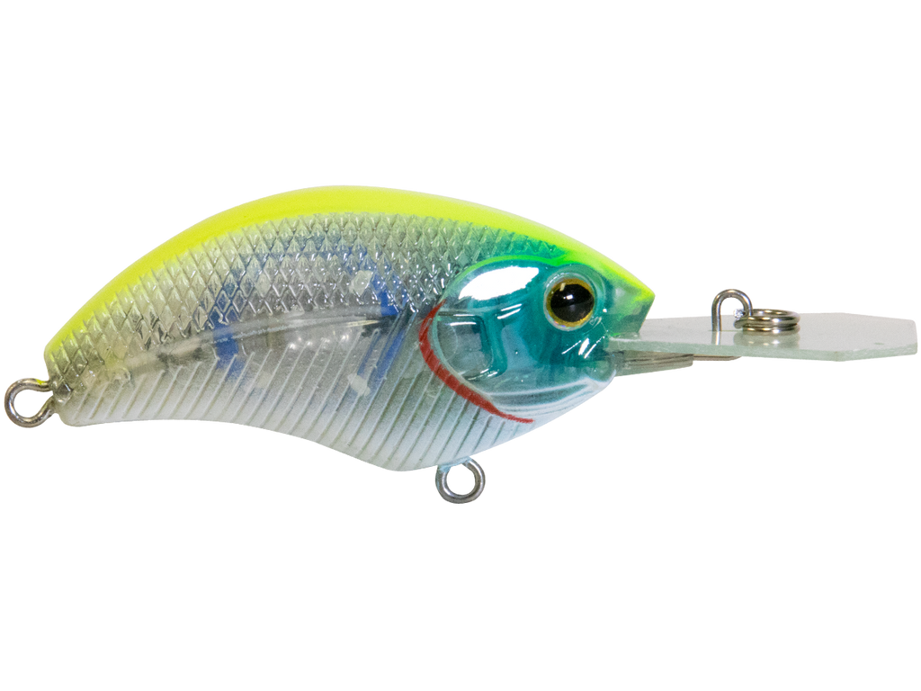 Vapor 50