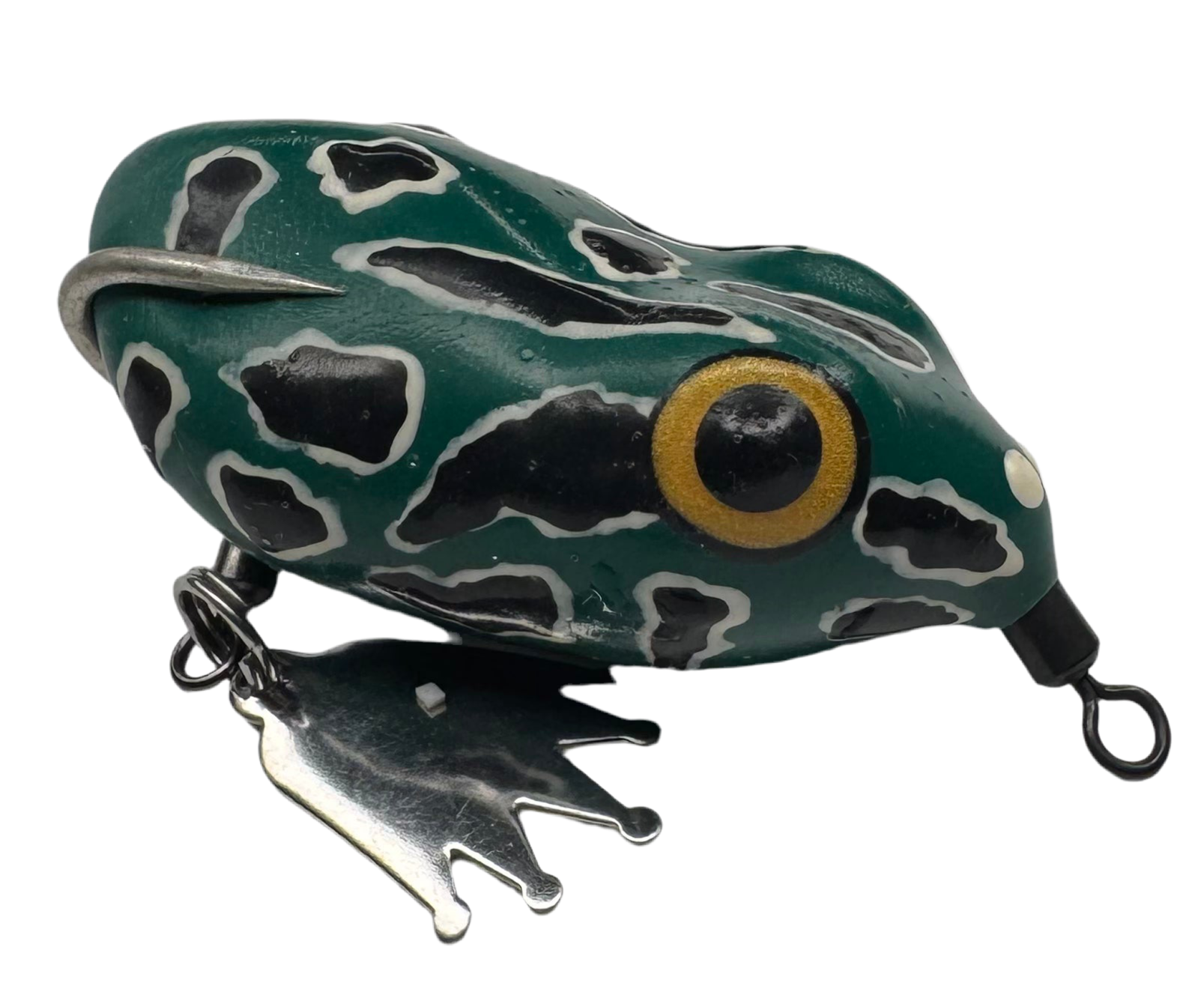 Pacman Frog