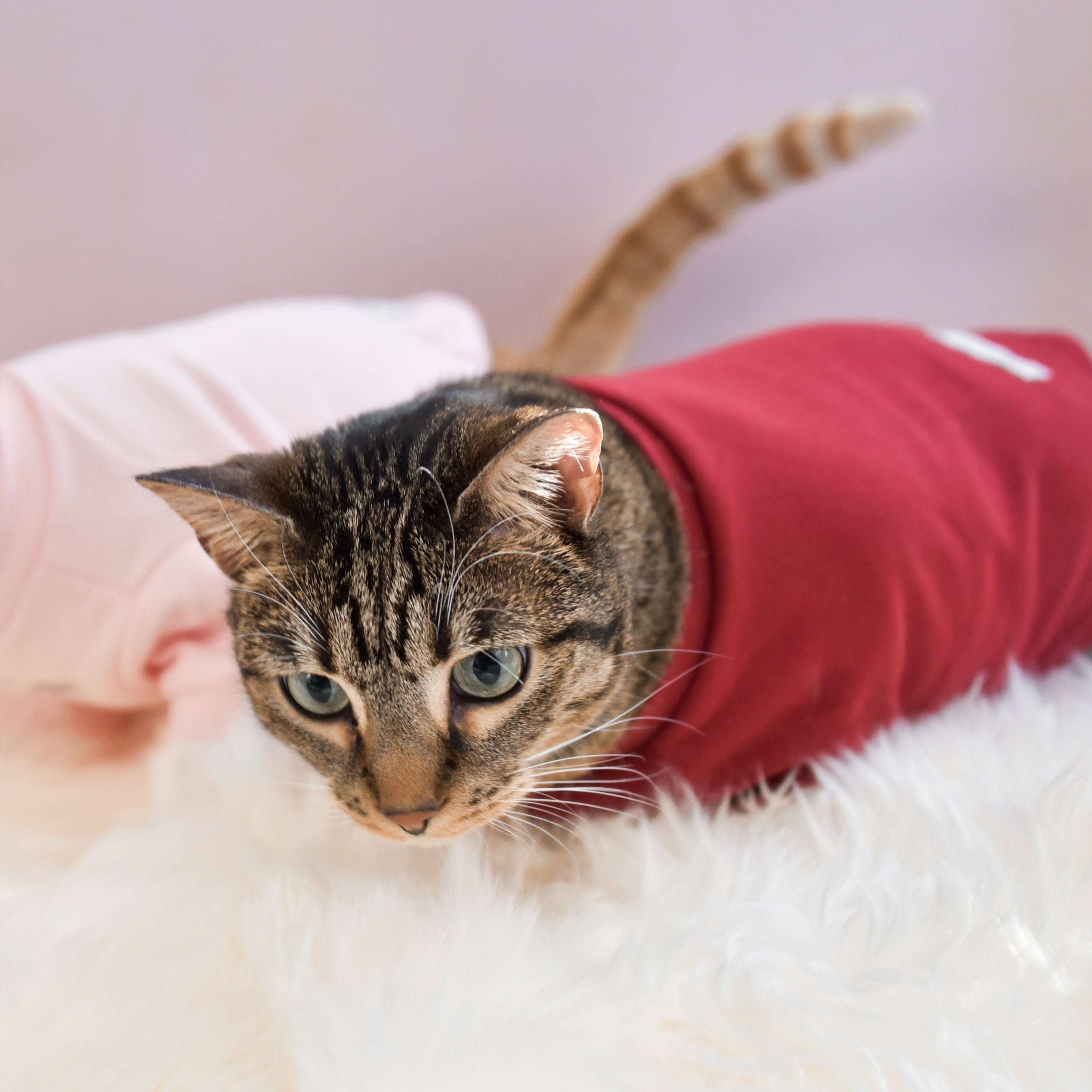 Spoiled Mock Neck Shirt - Lucky