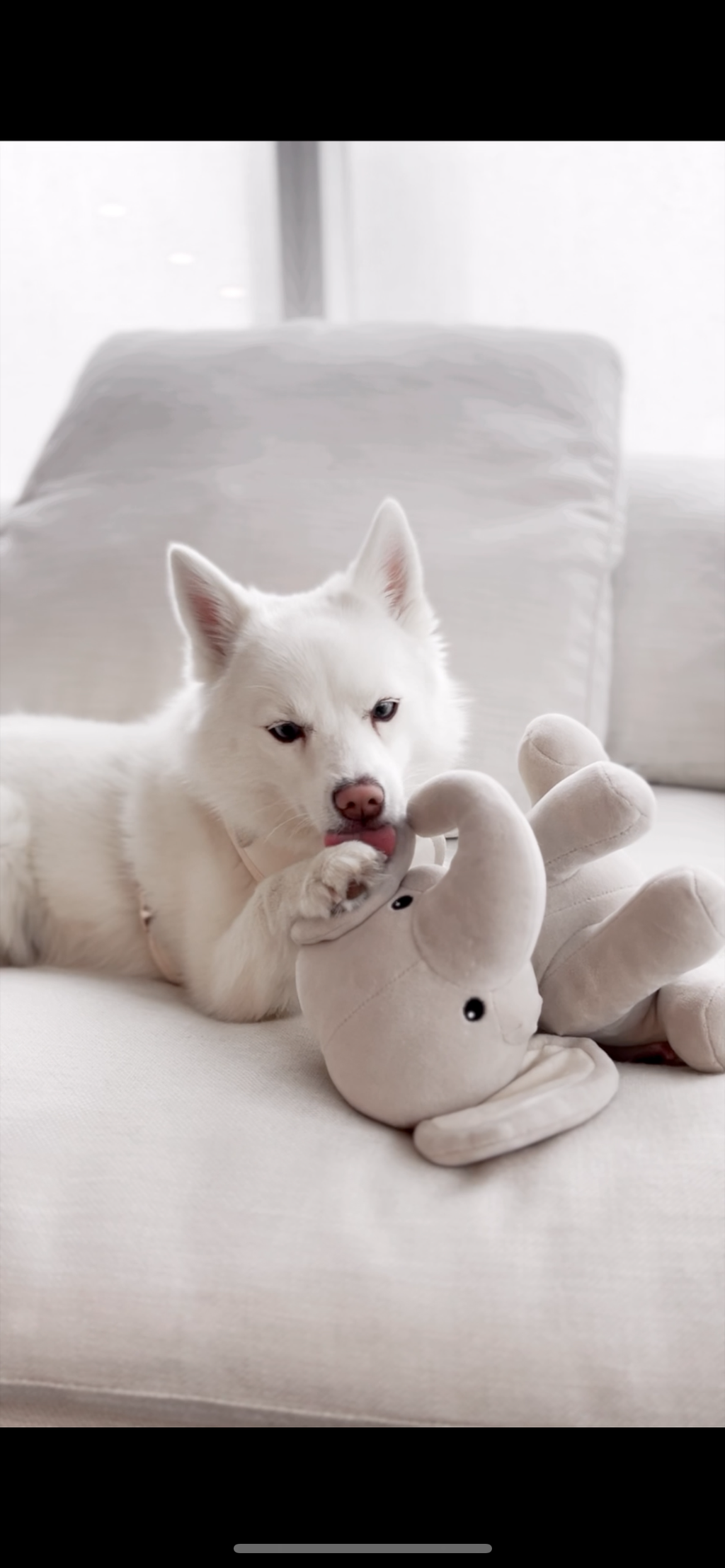 Ella Plushie
