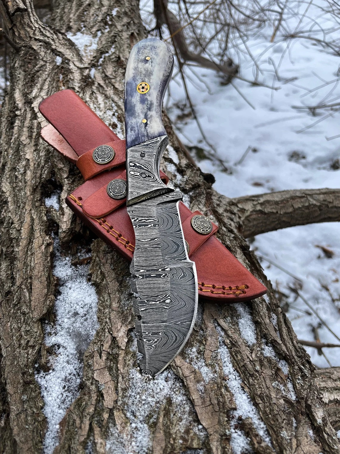 Damascus Steel Handmade Tom Brown Tracker Knife with Color Bone and Damascus Bolster Handle - 12 Inches Overall Length