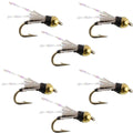 Beadhead Black 3 Dollar Dip Serendipity Wet Fly Fishing Flies - 6 Flies Hook Size 16