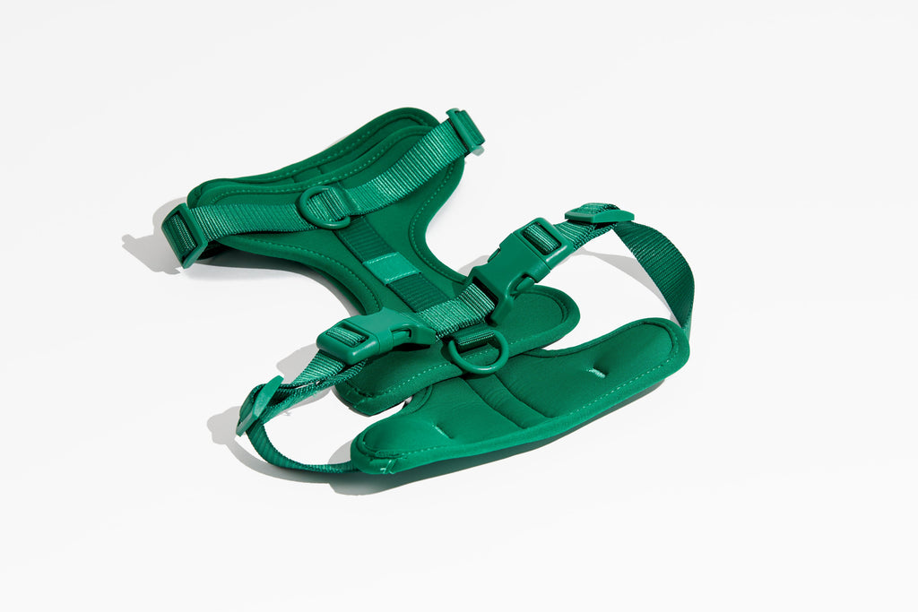 Luxe Harness