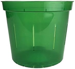 rePotme 3 inch Orchid Pot 3 Pack - Slotted Orchid Pots with Holes for Repotting (Green Emerald)