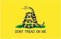 Valley Forge Flag Gadsden Don't Tread On Me Historical Flag - 100% Made in The USA - 3' x 5' ft - Perma-NYL Printed Nylon - Sturdy and Durable - Great for Gardens, Homes, Patios and Cars