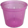 rePotme 3 inch Orchid Pot 3 Pack - Slotted Orchid Pots with Holes for Repotting (Rose Quartz)