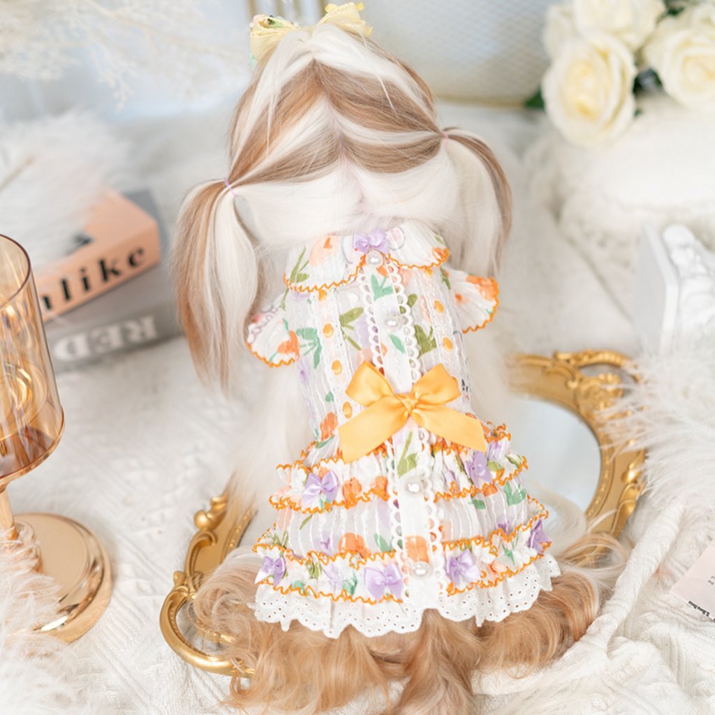 Luxury design dog dress tulip chiffon 2 colors