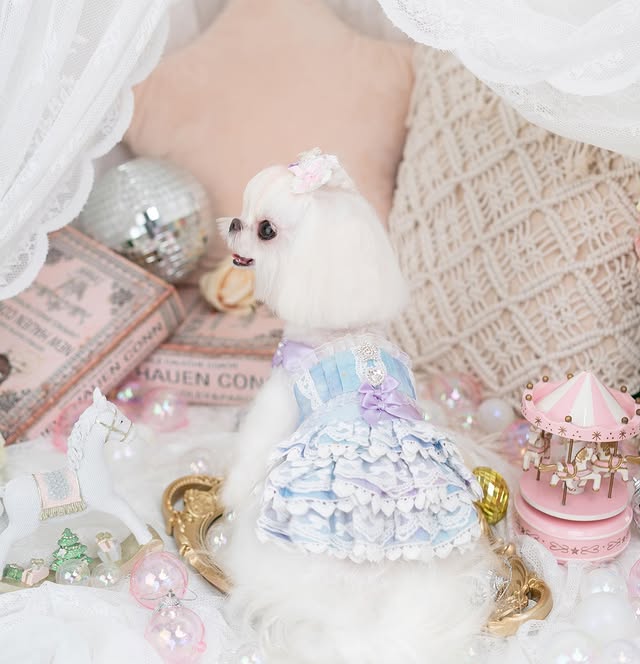 Luxury design Royal Frost Ruffle Dog Dress