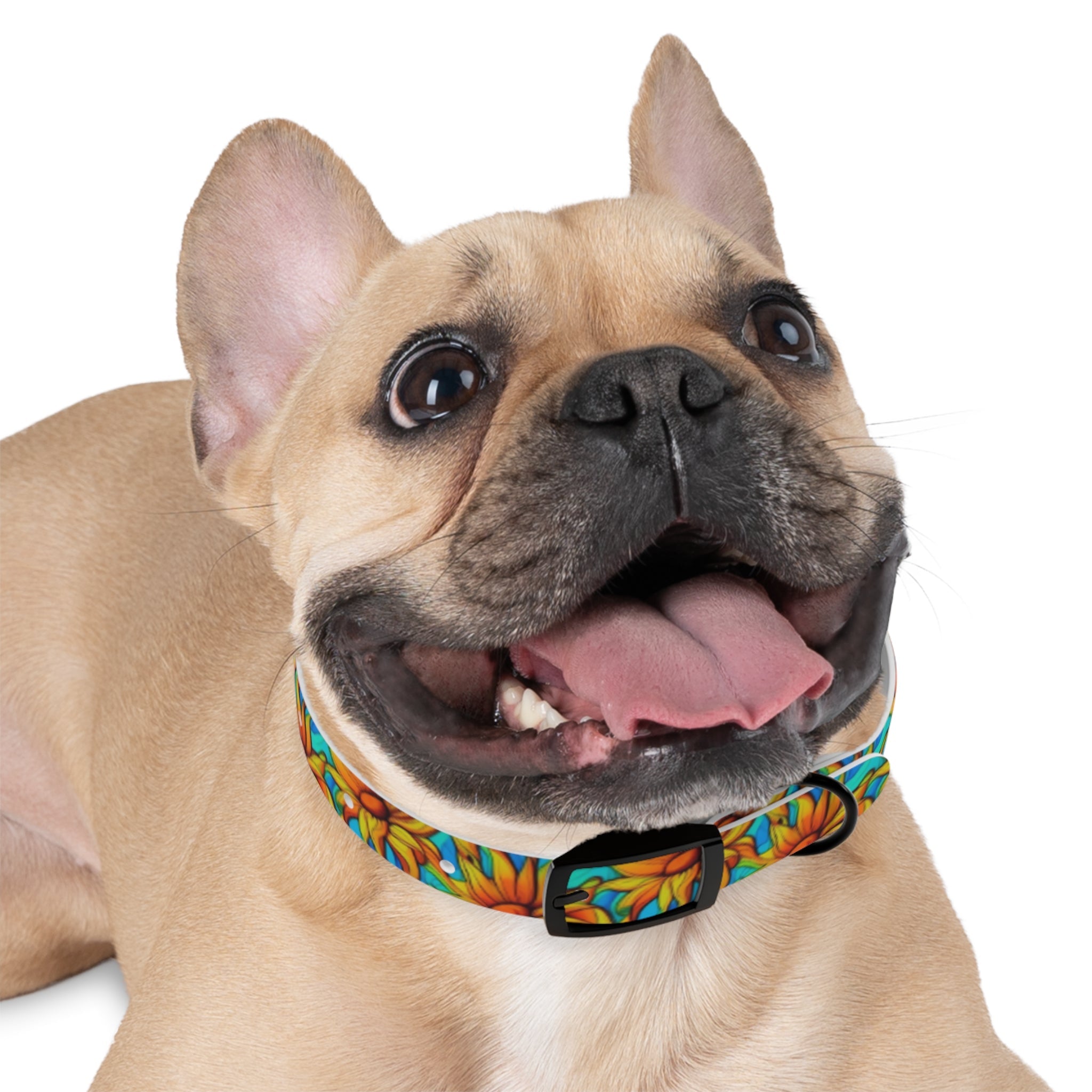 Sunflower Kaleidoscope on Turquoise Waves - Pet Collar Pet Zen