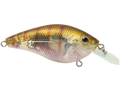 Primetyme CB 1.5