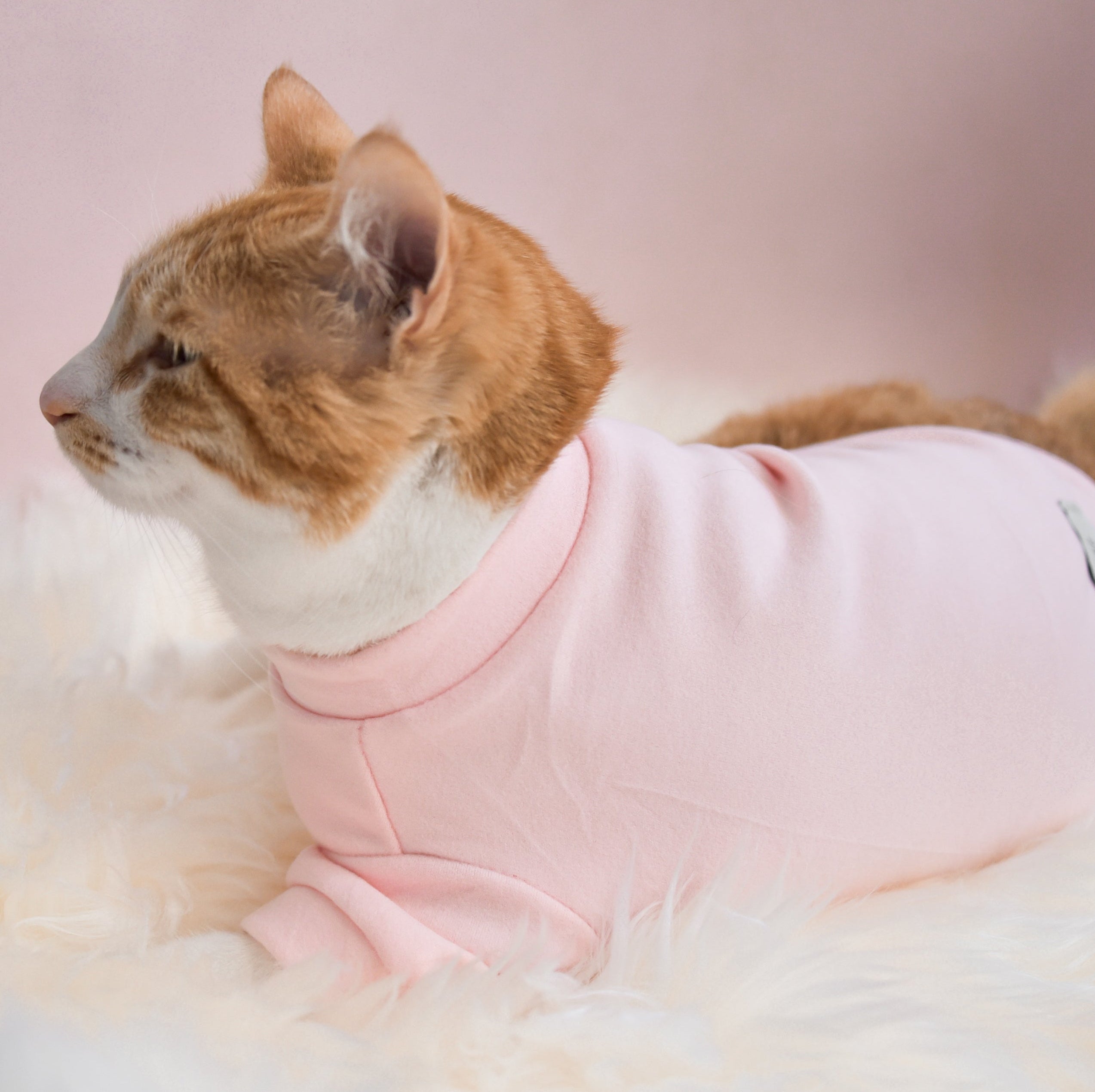 Spoiled Mock Neck Shirt - Blush