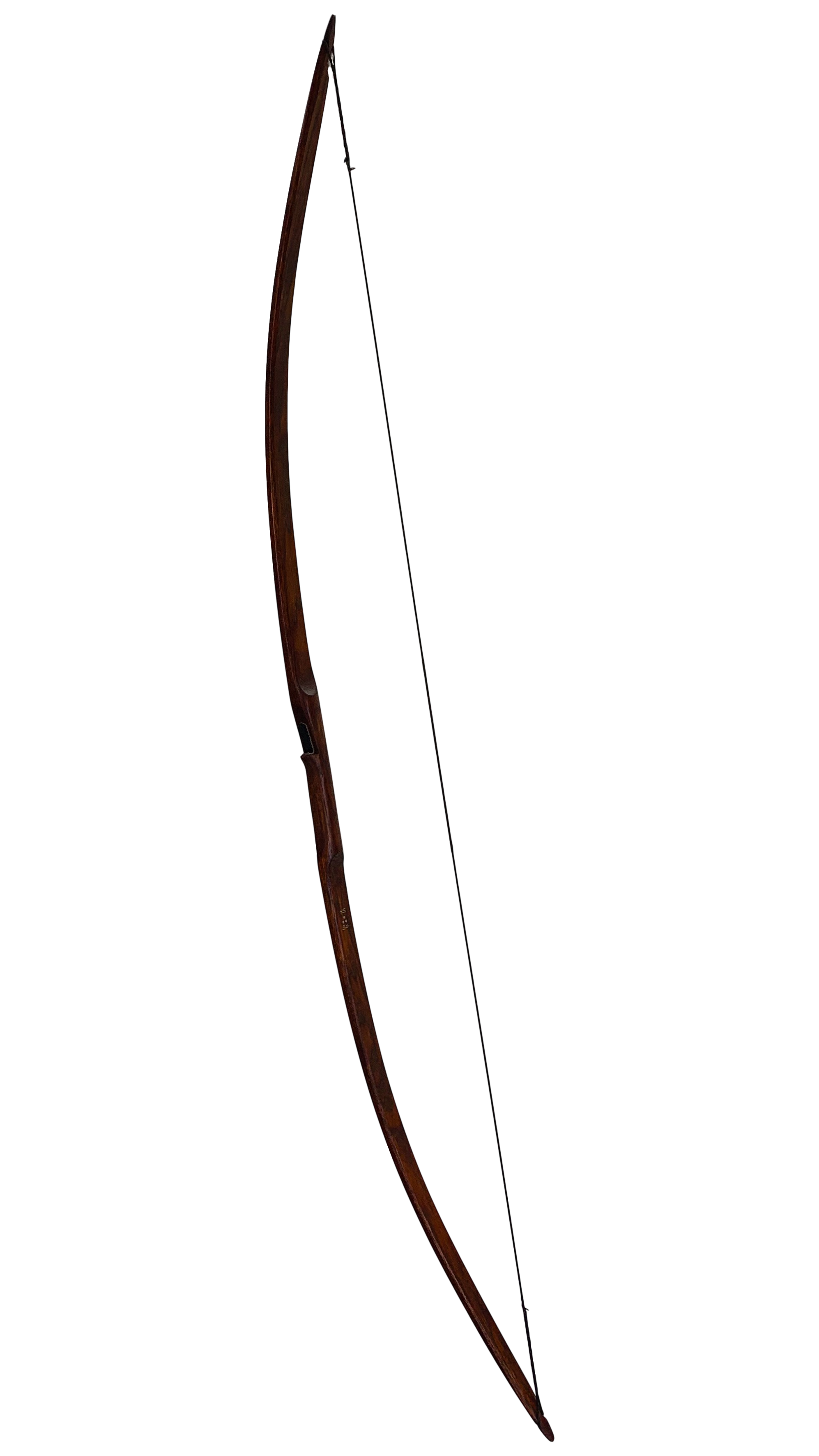 Bushman Flatbow - 65"