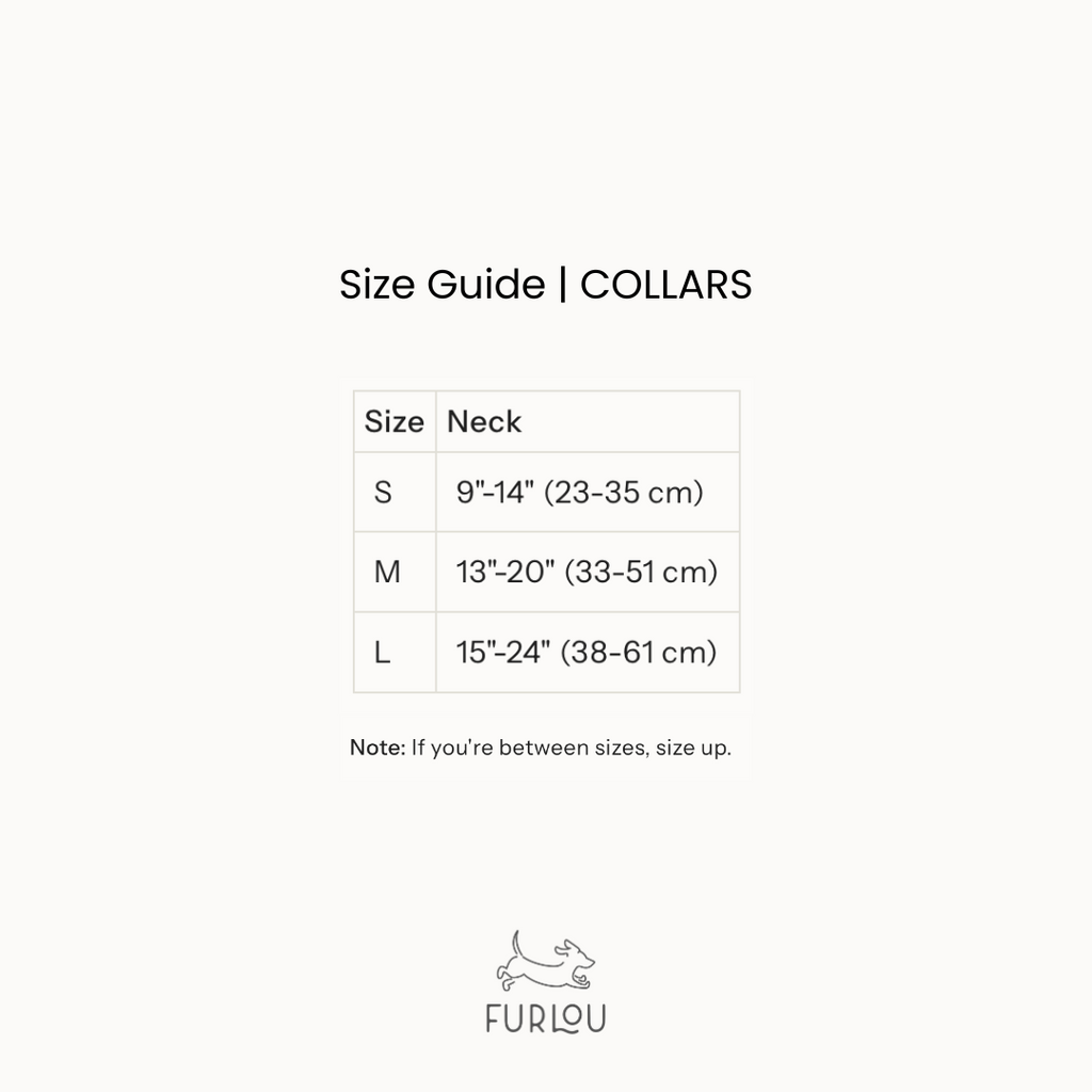 'Tan' - Canvas Dog Collar