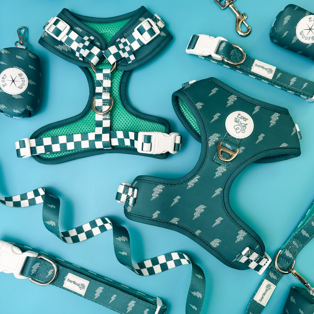 Thunderstruck Leash