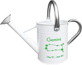 Metal Watering Can for Outdoor and Indoor Plants, Watering Can Decor, 1 Gallon (Gemini)