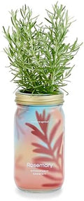 Modern Sprout Mason Garden Jar - Self-Watering Hydroponics Growing System Kit with Organic Herb Seeds - Jar Planter for Indoor Herb Garden - Seed Starter Kit - Home Decor & Gifting - Rosemary