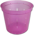 rePotme 6" Slotted Clear Orchid Pots 3 Pack (Rose Quartz)