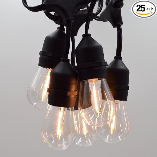 Hometown Evolution, Inc. E26 Outdoor Commercial String Lights with Suspended Socket for Weatherproof Heavy Duty Vintage Outside Lighting (S14 LED Plastic, 50 Foot 25 Socket)