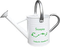 Metal Watering Can for Outdoor and Indoor Plants, Watering Can Decor, 1 Gallon (Scorpio)