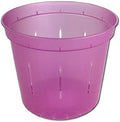 rePotme 5" Slotted Clear Orchid Pots - 3 Pack (Rose Quartz)