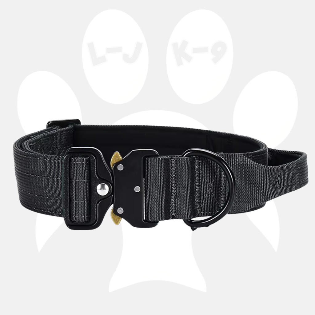 Sleek-Lux Padded Dog Collar