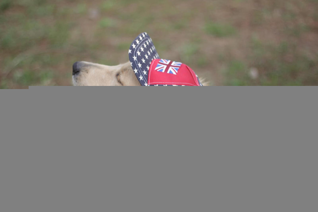 Star Print Dog Sun Hat with Ear Holes