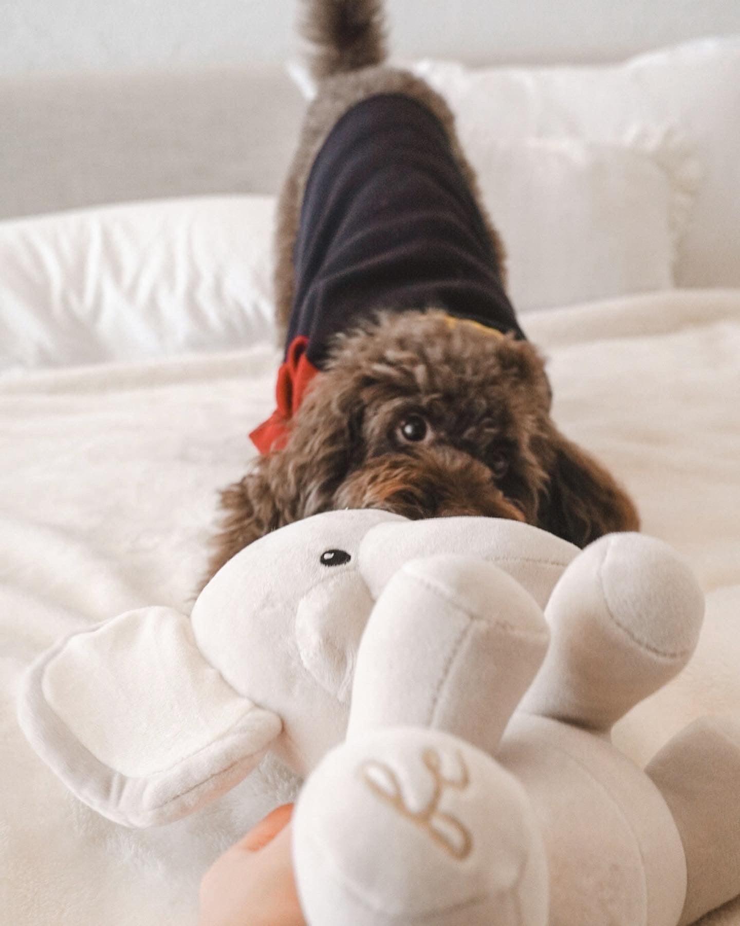 Ella Plushie