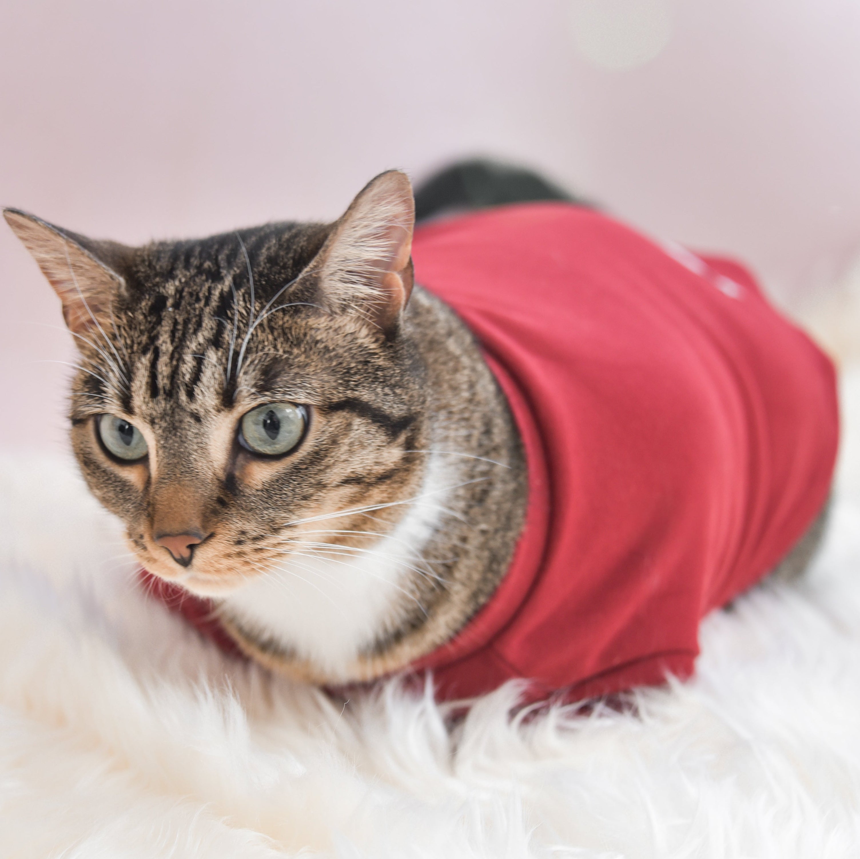 Spoiled Mock Neck Shirt - Lucky
