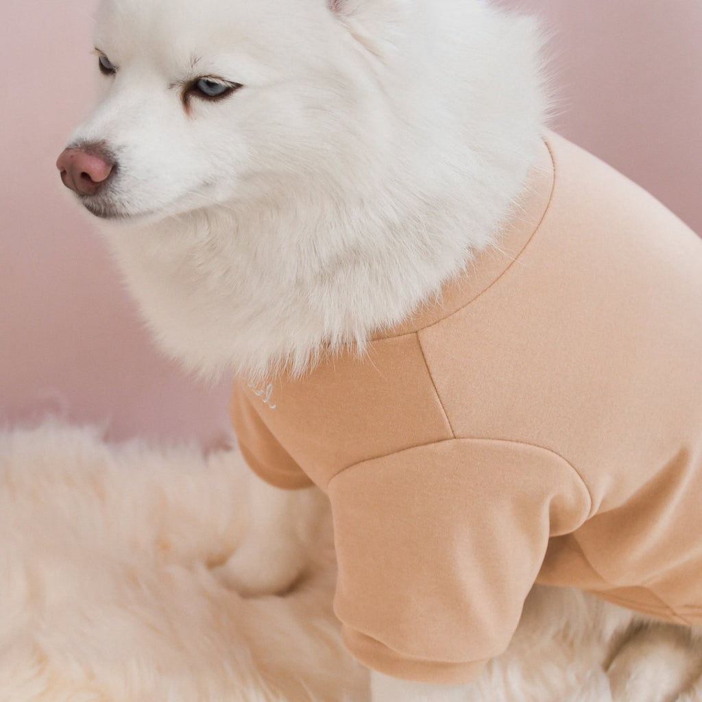 Spoiled Mock Neck Shirt - Latte