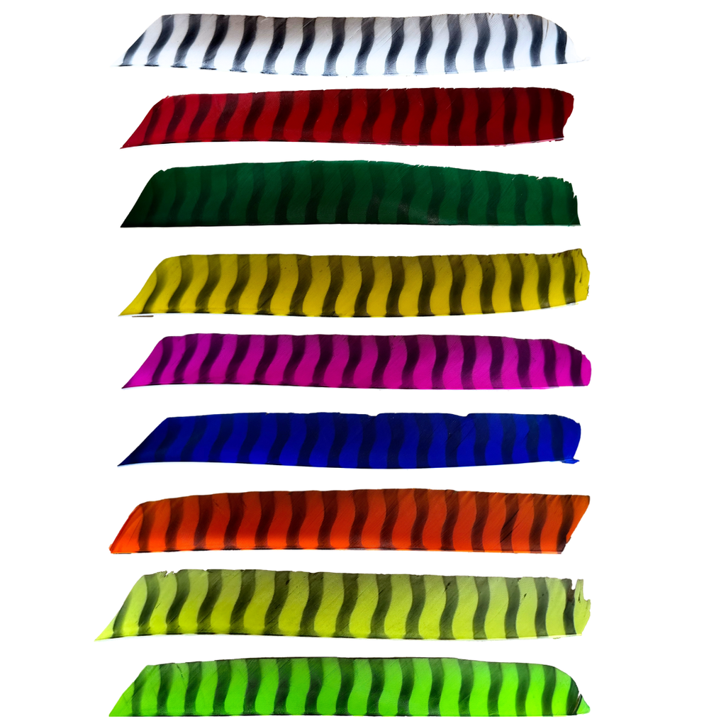 King Feathers - Full Length - Barred Feathers
