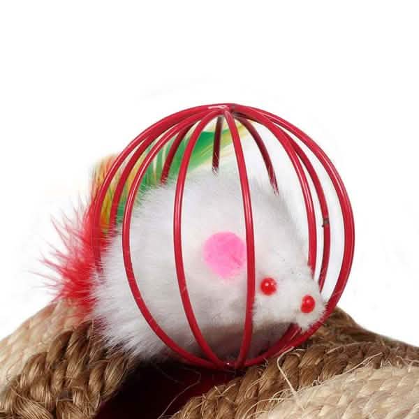 5-Pack: Pet Cat Kitten Playing Mouse Ball Cage