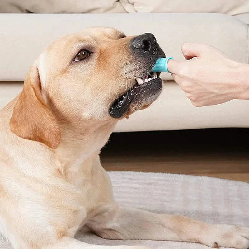 5-Pieces: Super Soft Pet Finger Toothbrush Teeth Cleaning Silicone Tooth Brush
