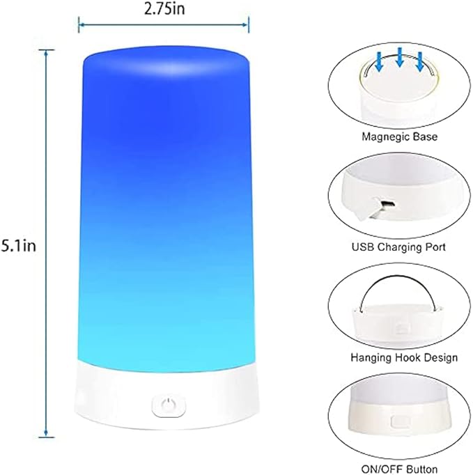 Led Flame Light,USB Rechargeable LED Fire Candles Outdoor Hanging Lamps with Remote for Home Party Halloween Christmas Decoration (Blue)