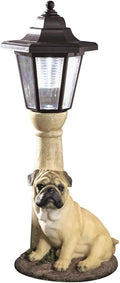 Bits and Pieces-Solar Light Fawn Pug-Solar Powered Garden Lantern - Resin Dog Sculpture with LED Light