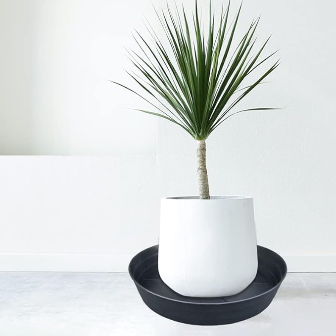 Plant Saucer 14 Inch, 4 Pack Extra Large Planter Saucer, Plastic Plant Saucers for Indoors and Outdoors, Deep Plant Pot Saucers, Drainage Tray for 9 10 12 in Planters