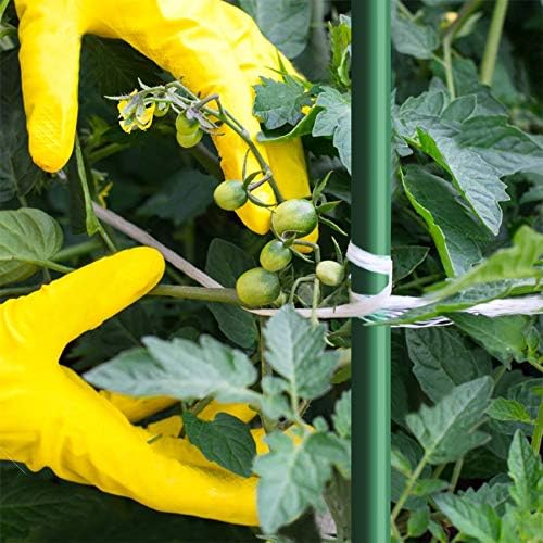 5 Ft 50pack Garden Stakes for Climbing Plants,1/4" Dia Supports Poles EcoStake Rust-Free Plant Sticks Fence Post (60inch)