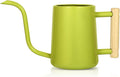 Watering Can Indoor Plants, 35 oz/1000 ml Metal Stainless Steel Watering Can Pot with Long Spout for Indoor House Plants Bonsai Outdoor Garden Flower Decorative (Bright Green)