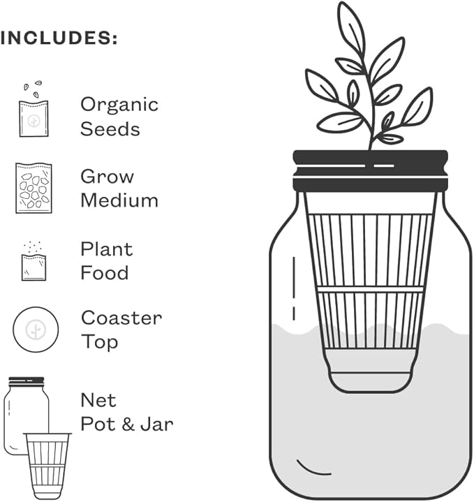 Modern Sprout New & Improved Mason Jar Grow Set, Indoor Herb Garden, Seed Starter Set, Organic Seeds, Hydroponic Growing (Basil + Lavender)