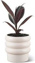 Bubble Ceramic Plant Pots with Drainage Holes and Saucers,6 inch Medium Flower Pots Modern Decor Planter for Indoor Plants(White)