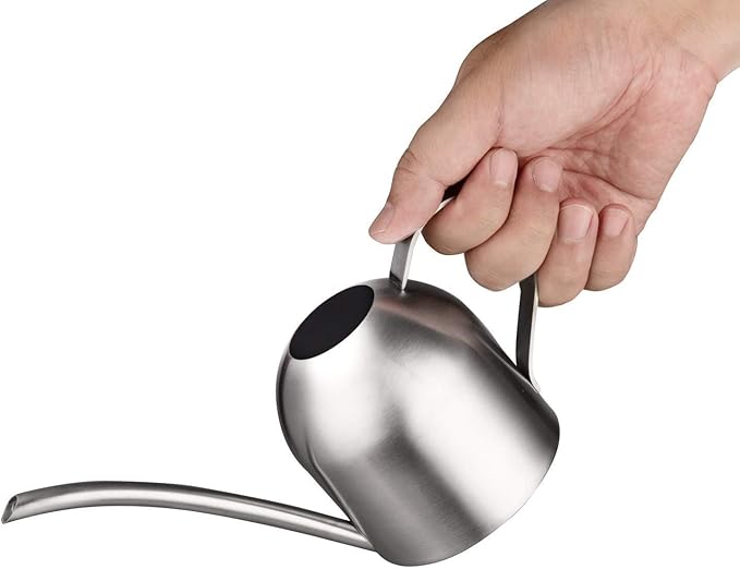 IMEEA Small Watering Can for Indoor Plants Stainless Steel Bonsai Watering can Mini Metal (15oz/450ml)