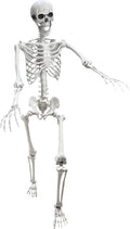 Lodou 5.4Ft Posable Life Size Human Adult Skeletons Plastic Human Bones with Movable Joints for Halloween Decoration