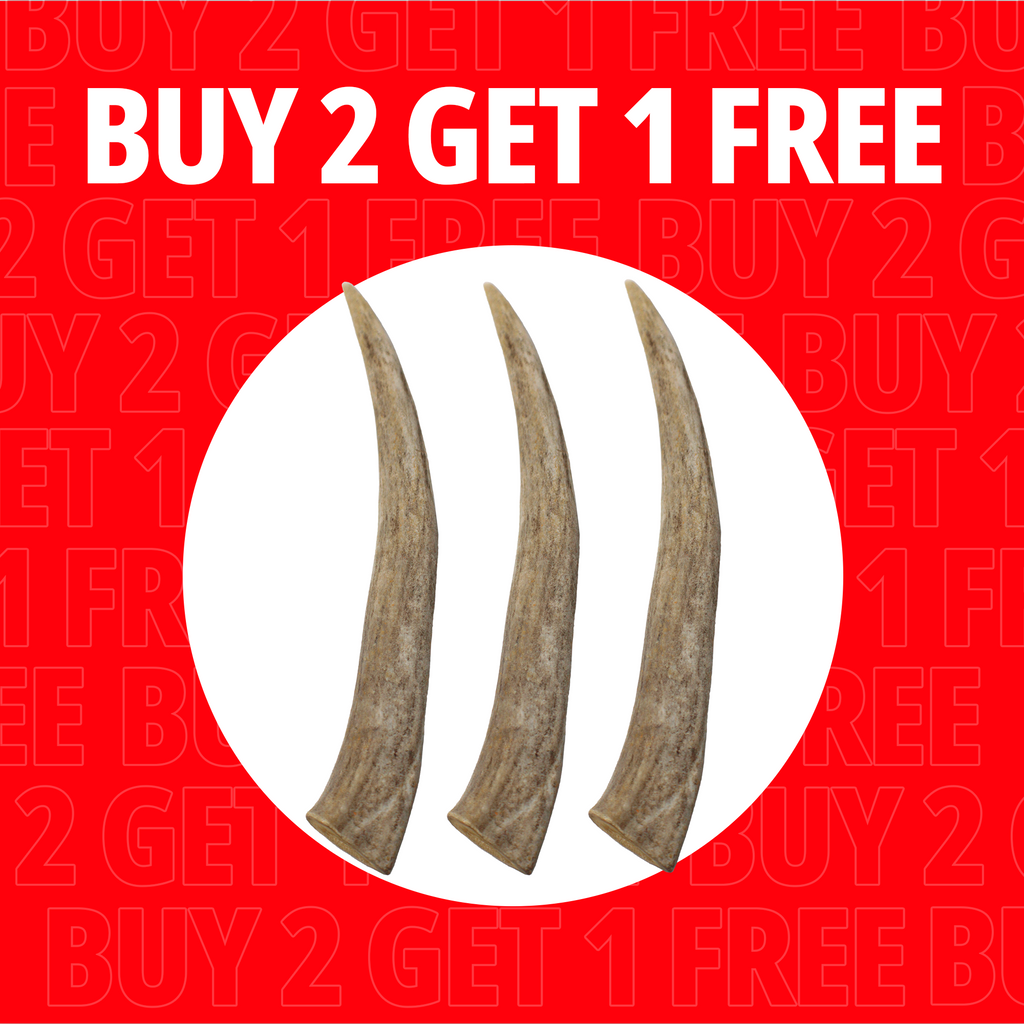 Large Antlers