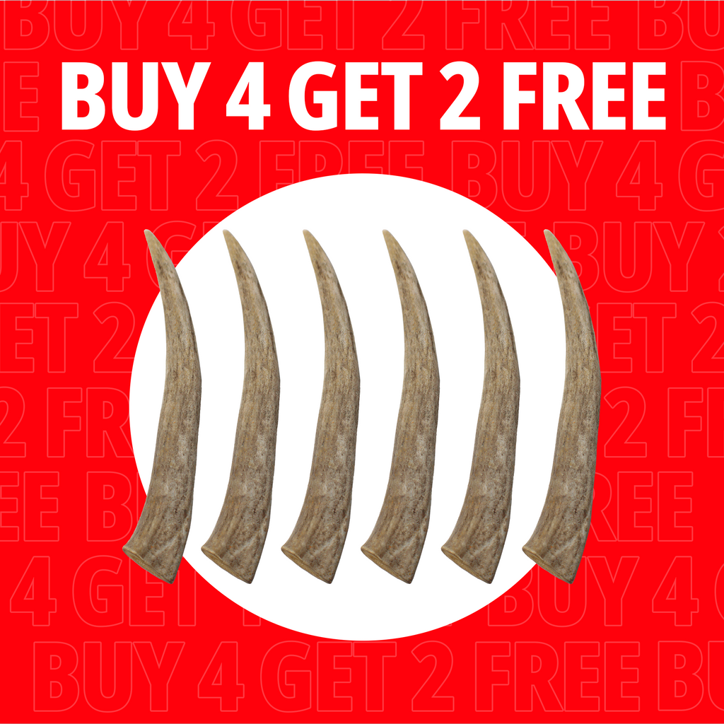 Large Antlers