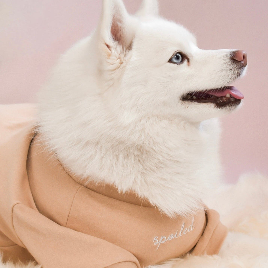 Spoiled Mock Neck Shirt - Latte