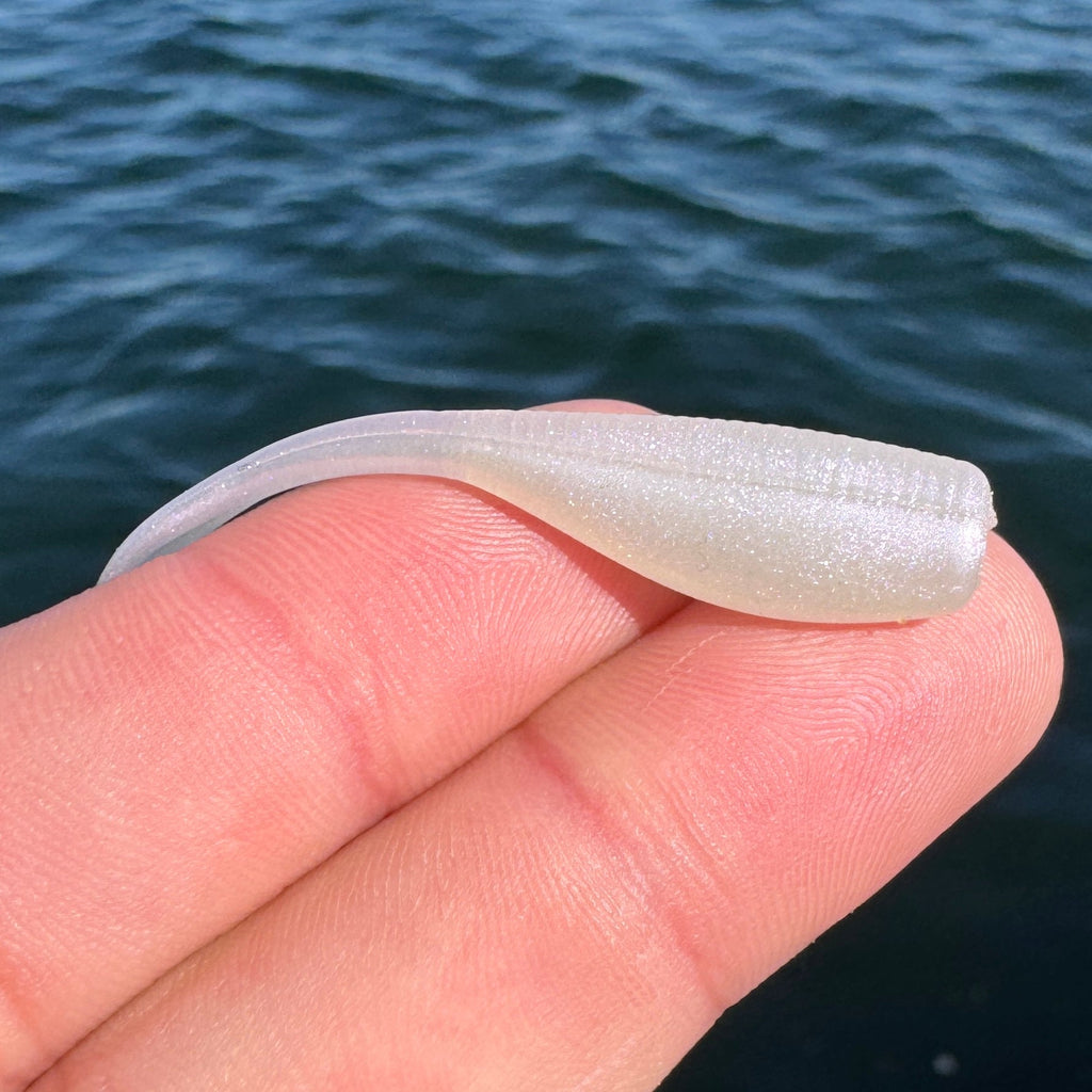 BS Minnow 2"