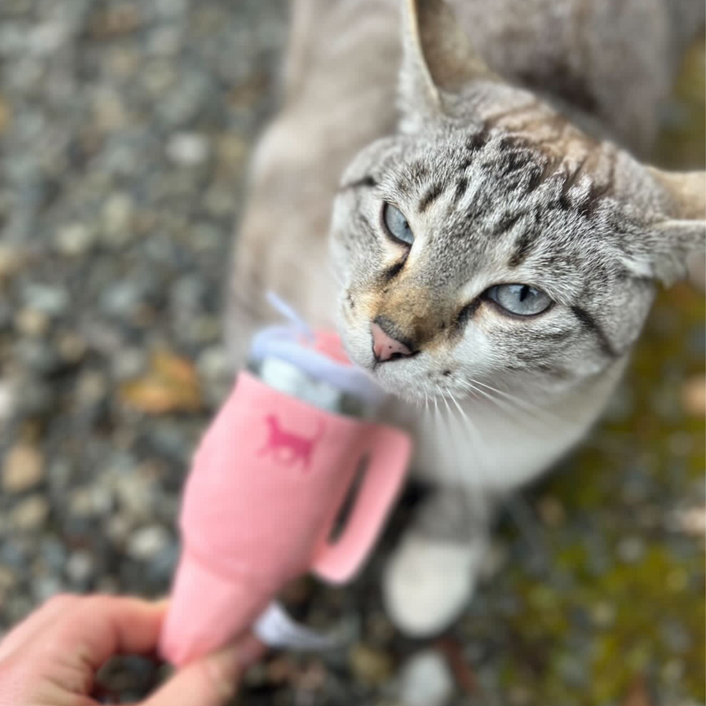 Kitty Cup Cat Tumbler Toy with Catnip & Crinkle Paper- Ideal Cat Birthday Gift