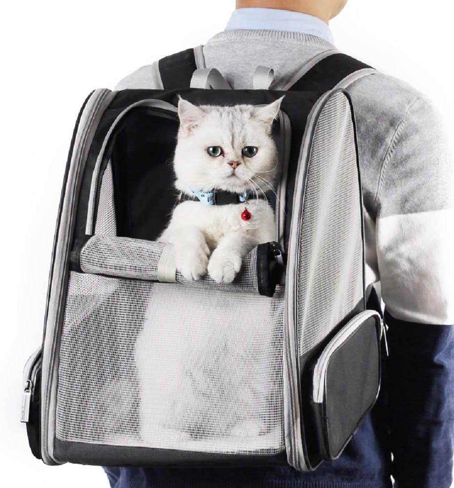 AirFlow Bubble Travel Backpack Carrier