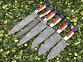 Artisan's Touch: 6-Piece Kitchen Knives Set with Twist Damascus Steel Blades, Exotic Wood and Bone Handles - Presented in a Leather Roll