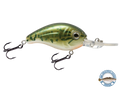 Dive Master Jr 8
