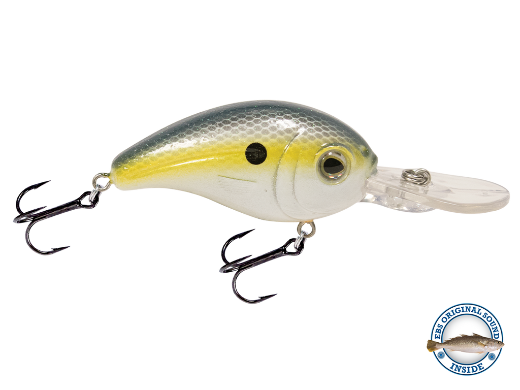 Dive Master Jr 8